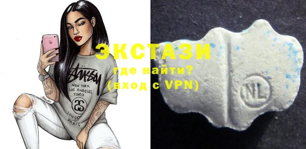 стаф Вяземский