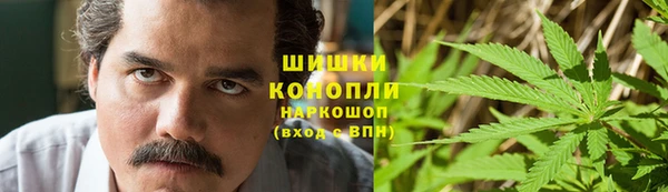 стаф Вяземский