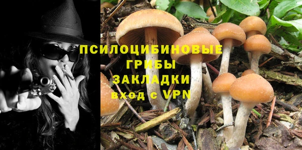 стаф Вяземский