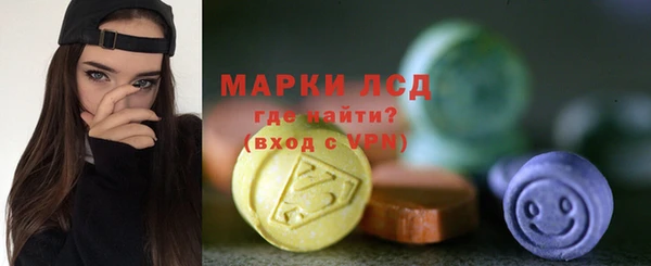 стаф Вяземский