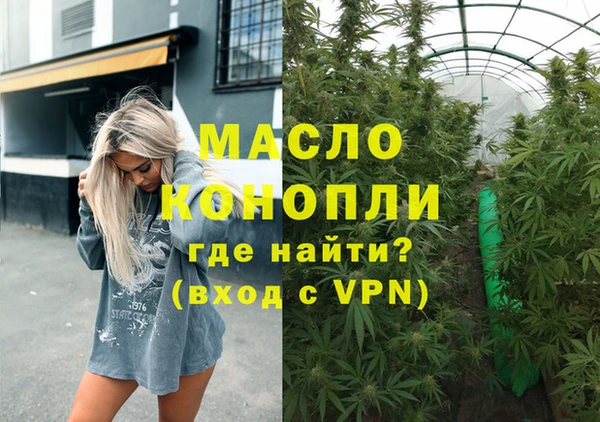 стаф Вяземский