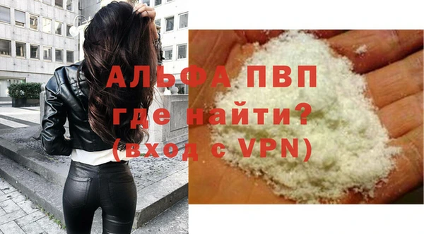 стаф Вяземский