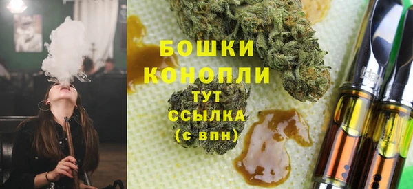 стаф Вяземский