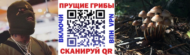Купить  Нарьян-Мар  Галлюциногенные грибы мицелий 